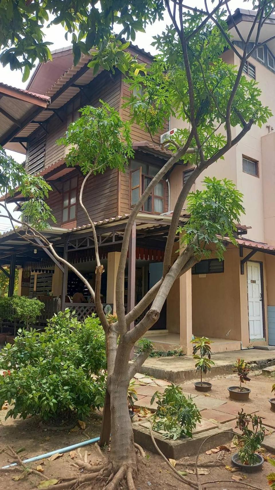Baan Lotus Guest House 大城 外观 照片