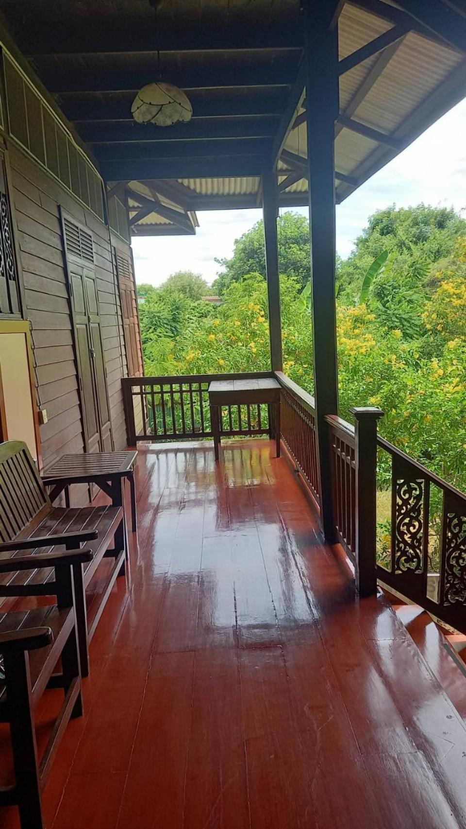 Baan Lotus Guest House 大城 外观 照片